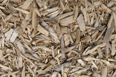 biomass boilers Chevithorne