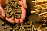 free Chevithorne biomass boiler quotes